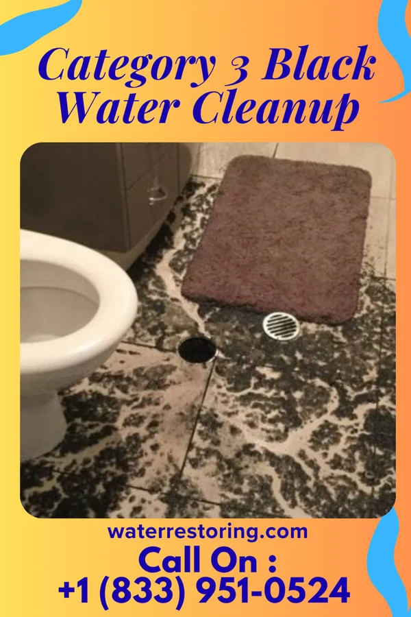 Category 3 Black Water Cleanup in Stanley, NC