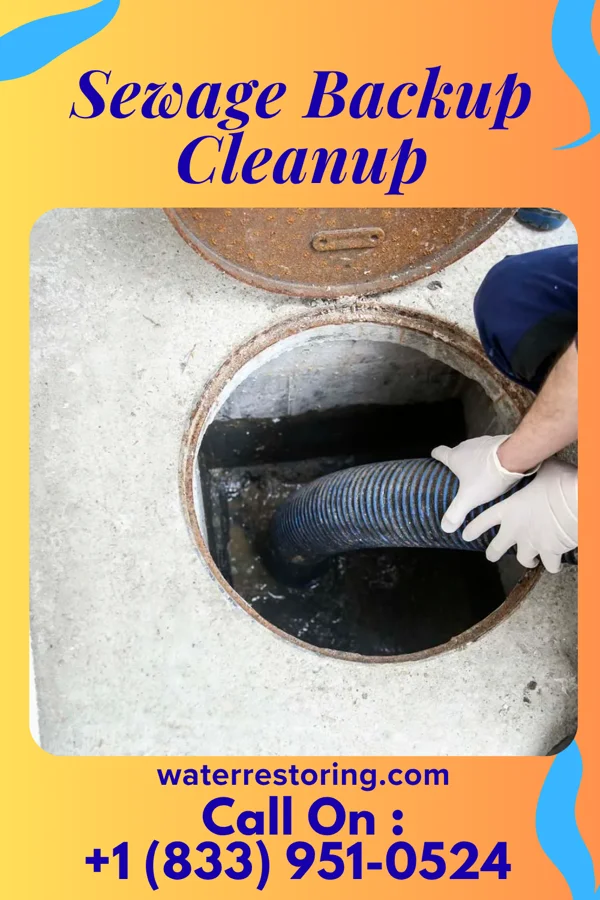 Sewage Backup Cleanup in Stanley, NC